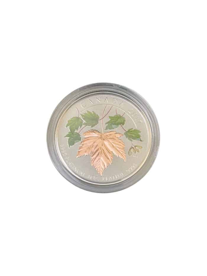 2017 Pure Platinum Coin - Maple Leaf Forever, .9995 - Image 2