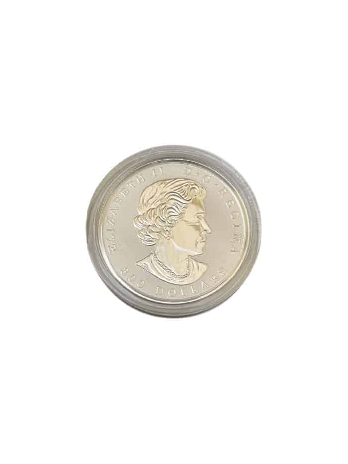2017 Pure Platinum Coin - Maple Leaf Forever, .9995 - Image 3